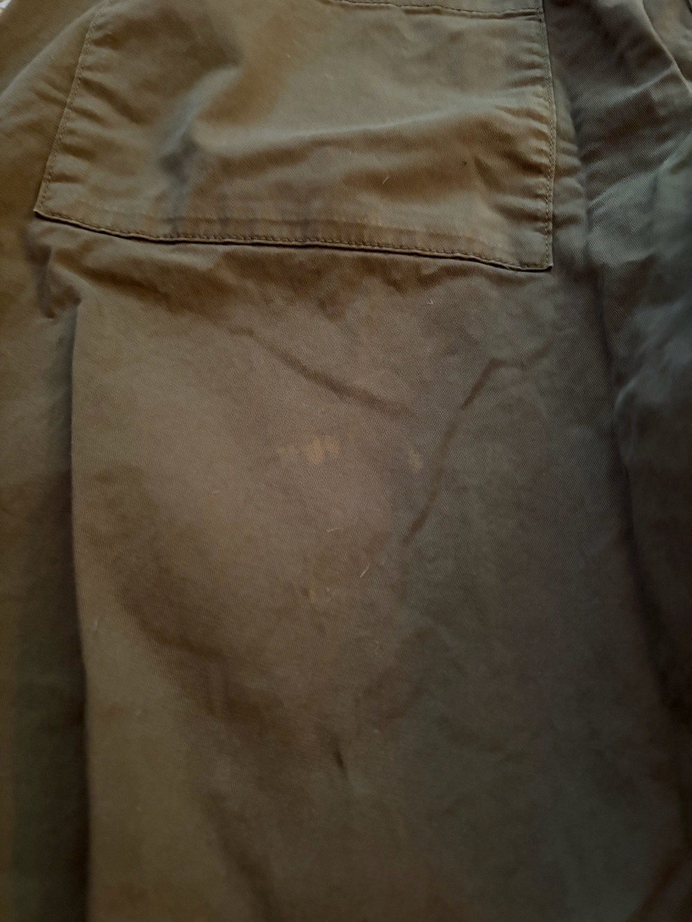 Everlane Easy Barrel Pants in Kalamata - Picture 10 of 10
